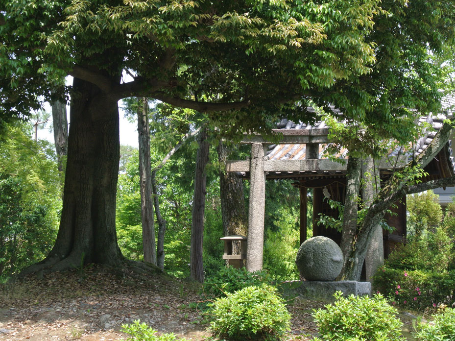 ■ 南禅寺辺りで_b0144301_06394756.jpg