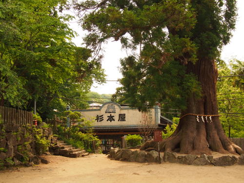 d0171803_8272880.jpg