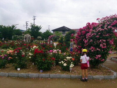 e0252905_4234385.jpg