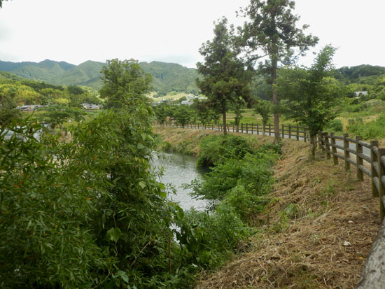 明日香を歩く1橘寺_e0048413_1846162.jpg