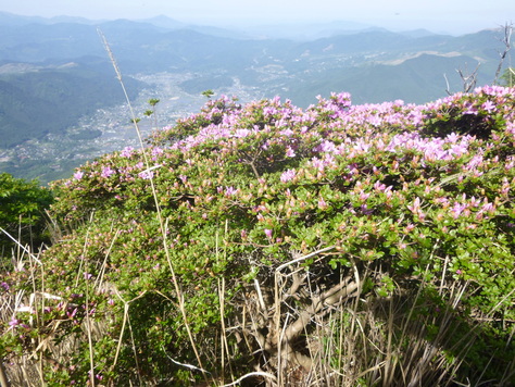 d0170615_5145556.jpg