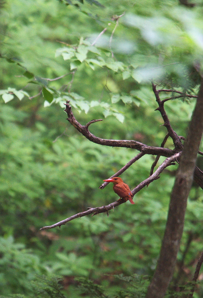 f0288418_2020479.jpg