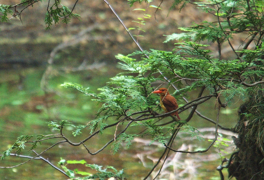 f0288418_2021217.jpg