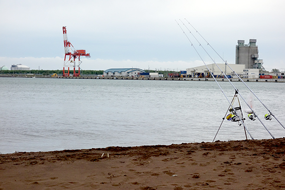 ２０１４・6・６　石狩湾新港中央水路のカレイと朝市のシャコ　２：３０〜６：００_a0155319_09184002.jpg