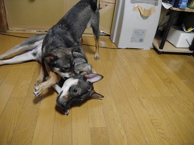 f0282319_424631.jpg
