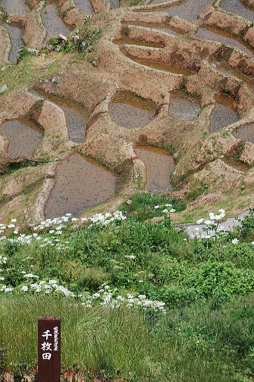 f0248120_18231362.jpg