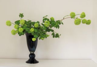 蘭のガラス花器 ミント_c0165824_10371893.jpg
