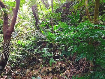 甦る古代琉球〈完〉ナーワンダーの封印_a0300530_17211618.jpg