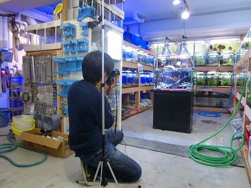 f0304633_13362461.jpg