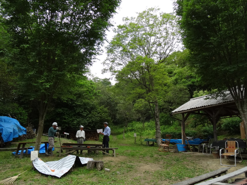 孝子の森もササユリが満開です_c0108460_20194962.jpg