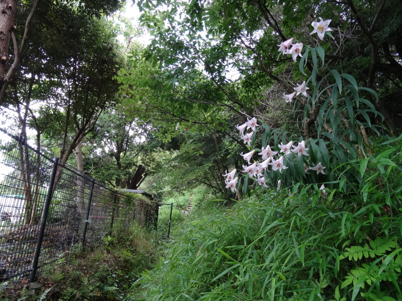 c0108460_22155018.jpg