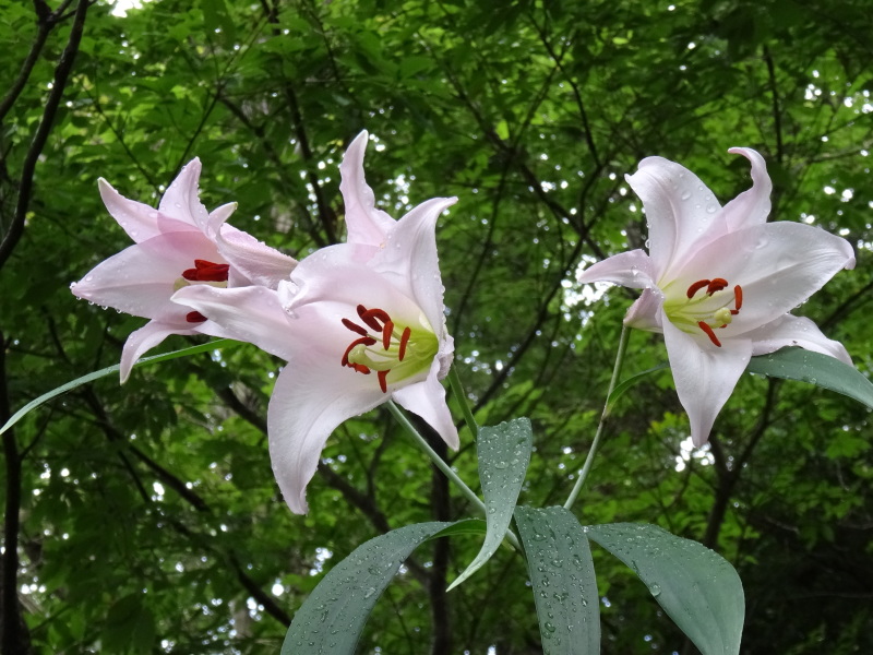 c0108460_22155159.jpg