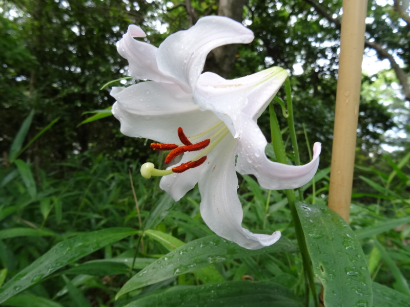 c0108460_22433600.jpg