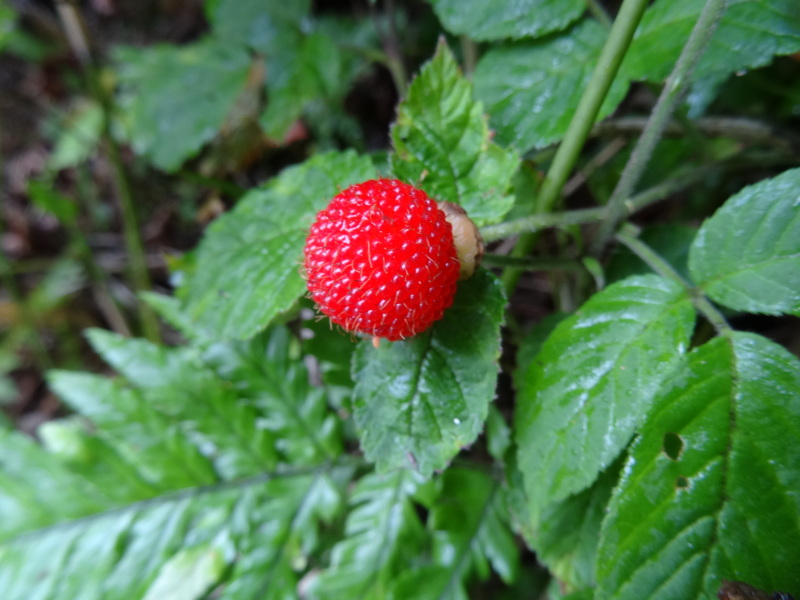 c0108460_22503119.jpg