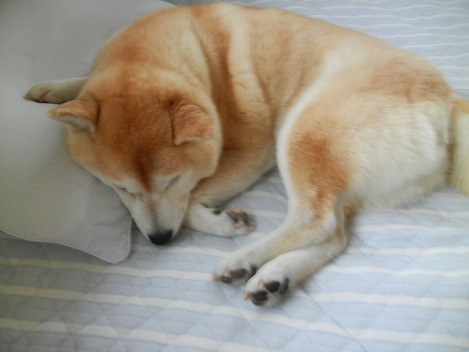 ’14,6,6(金)梅雨と言うよりも大雨~!_f0060461_8544791.jpg