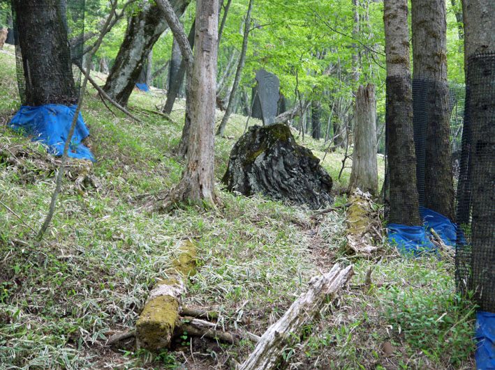 日光男体山登頂記①往復6時間25分かけ年初来の念願達成 _c0014967_17313263.jpg