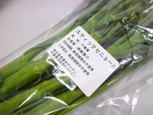 スティックセニョール 岐阜うまうま日記 旧 池袋うまうま日記