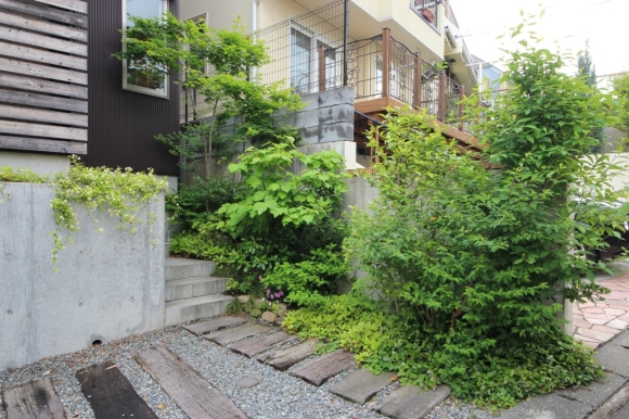 梅雨入り_c0310571_23151755.jpg