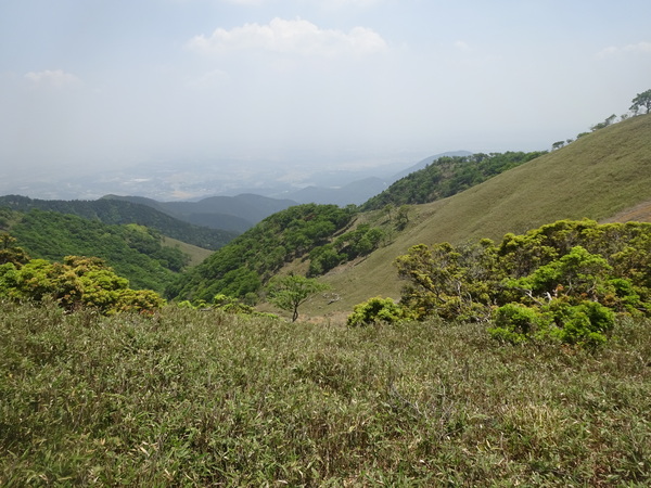 鈴鹿山系「竜ヶ岳」：草稜に映える白いヒツジの正体_c0066176_0144457.jpg