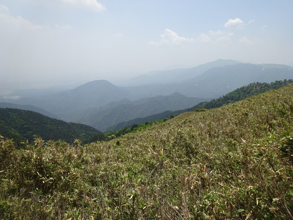 c0066176_08854.jpg