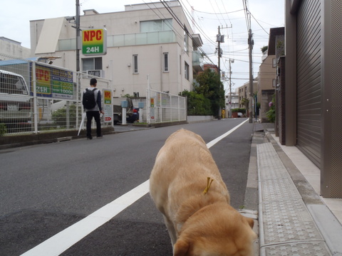 f0052277_454762.jpg