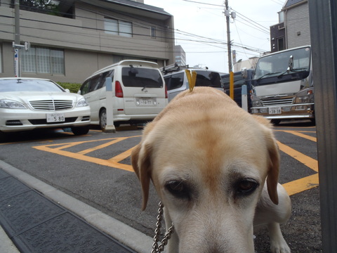 f0052277_473229.jpg