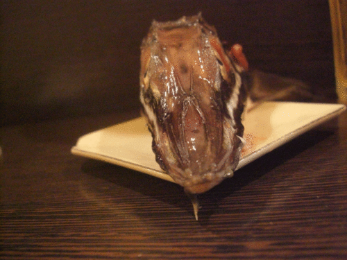 c0095679_0201411.gif