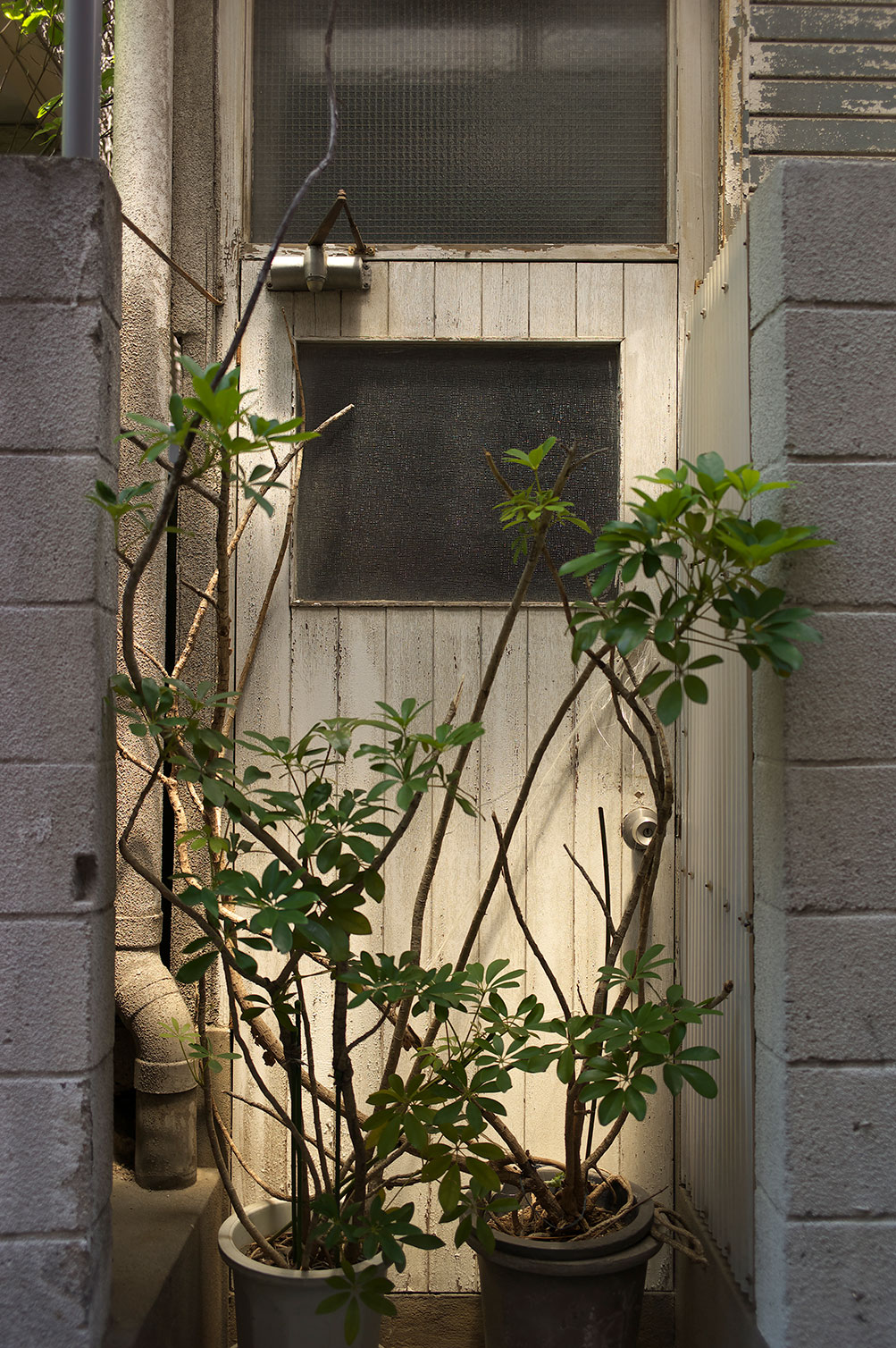 f0121181_3284138.jpg