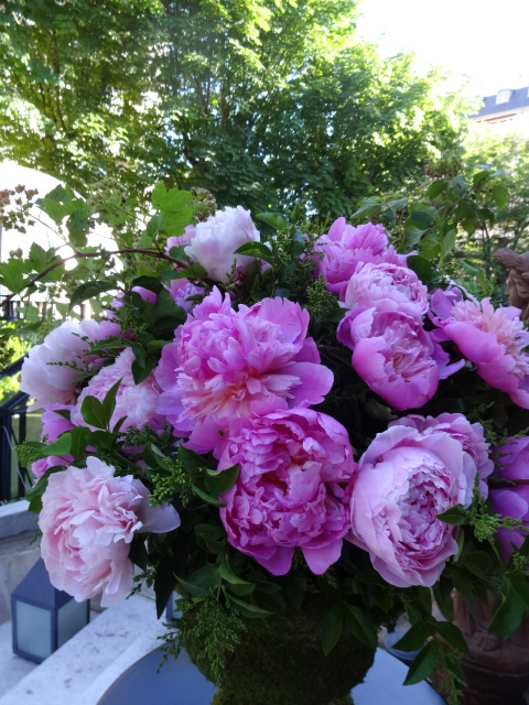 花に囲まれる一日 Une journee florale a Paris_a0284783_5451528.jpg