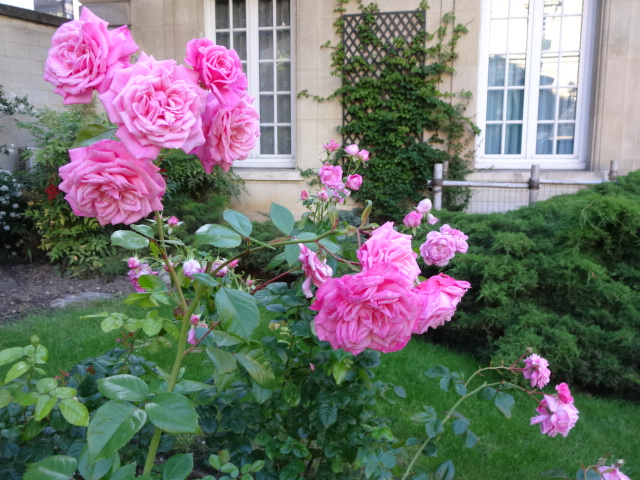 花に囲まれる一日 Une journee florale a Paris_a0284783_5464013.jpg