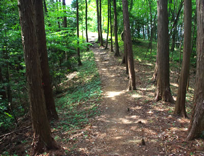 b0123486_89839.jpg