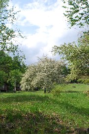 a0138589_09841.jpg
