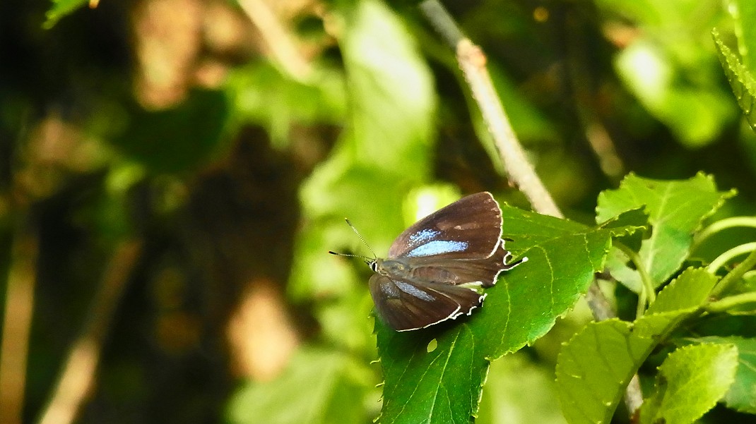 a0152692_1830488.jpg