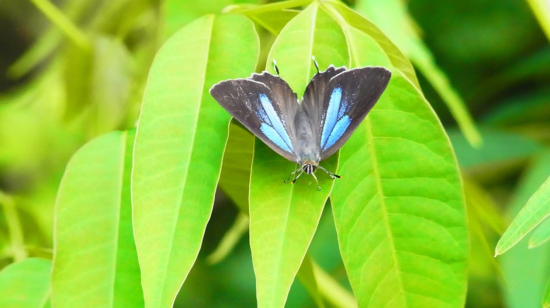 a0152692_18315015.jpg
