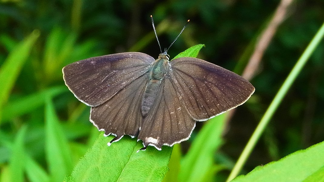 a0152692_18341629.jpg