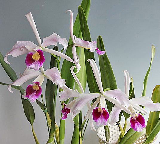 d0007501_9594630.jpg