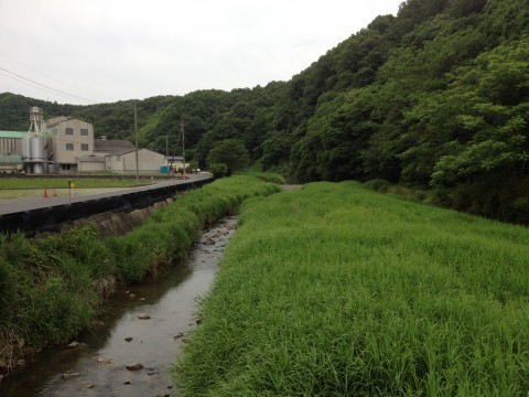 ほたるの里　足守＠岡山市北区粟井_f0197703_13391814.jpg