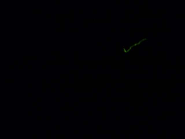 f0197703_1343149.jpg
