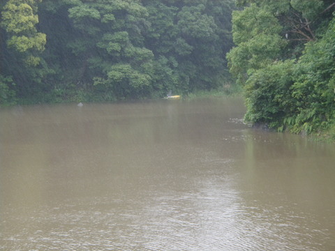 f0192504_814195.jpg