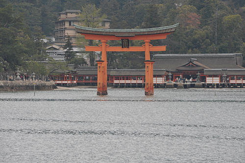 神社より穴子‥‥‥厳島神社_a0278809_14191298.gif