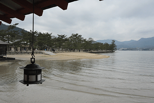 神社より穴子‥‥‥厳島神社_a0278809_14204667.gif