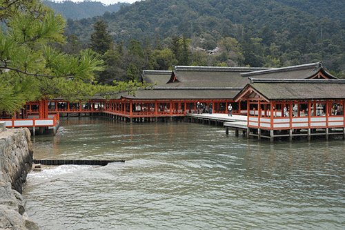神社より穴子‥‥‥厳島神社_a0278809_1420651.gif