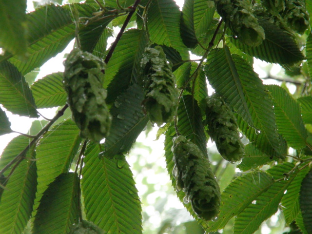 f0231709_14234457.jpg