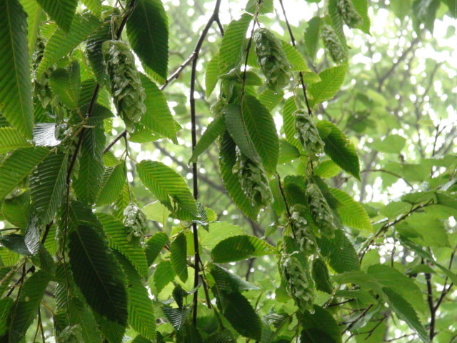 f0231709_14244647.jpg