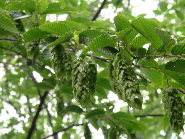 f0231709_14253052.jpg