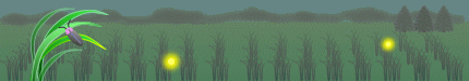 f0231709_21335436.gif