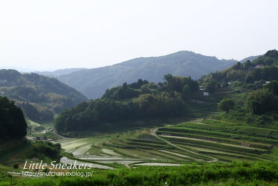 岡山県美咲町のだんだん畑 Little Sneakers 岡山県美咲町のだんだん畑 Little Sneakers