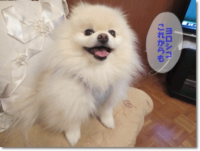 b0167519_14224272.gif