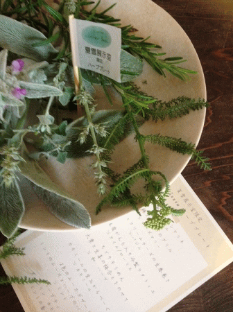 ぎゃらりーマドベ Summer Snow展 【夏雪展示室】 特別なお食事②_a0251920_21341875.gif