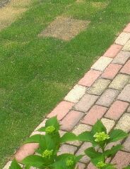 c0087321_12203991.jpg